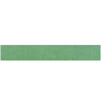 TAG "BLANK" GREEN EO-83 FT-BLANK EOT 6595 IT40GNDIST